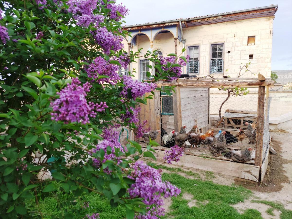 Armesos Cave Hotel Ürgüp Exterior foto