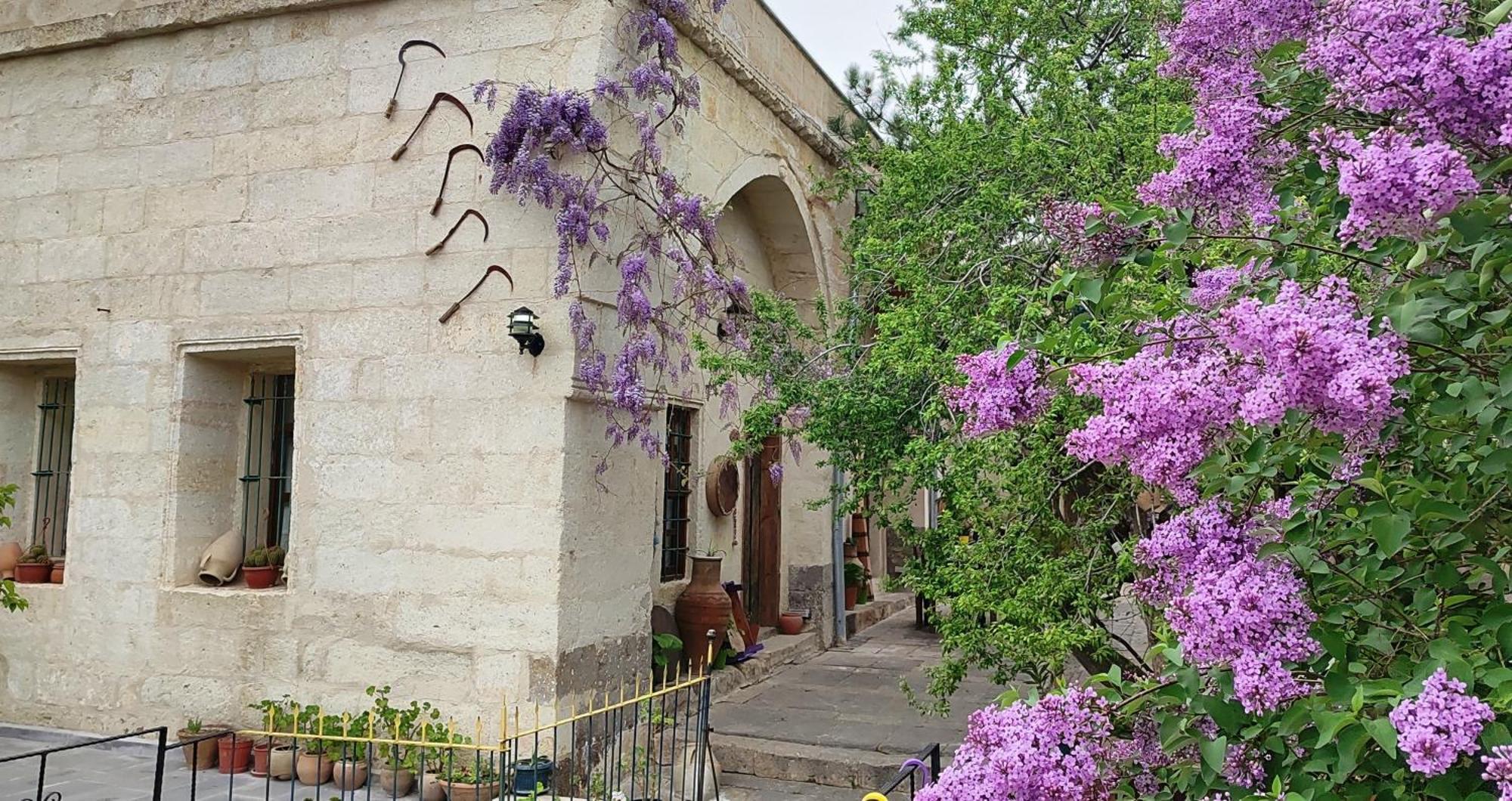 Armesos Cave Hotel Ürgüp Exterior foto